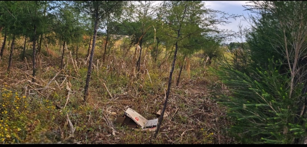 PRIME ¼ ACRE PLOT FOR SALE – KIPLOMBE, KIBULGENY (ELDORET)