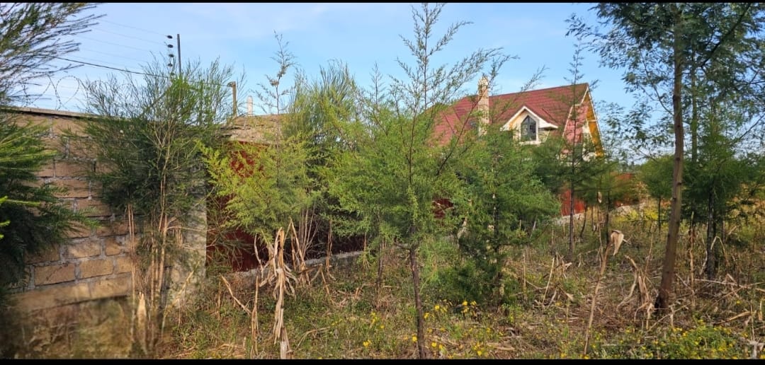 PRIME ¼ ACRE PLOT FOR SALE – KIPLOMBE, KIBULGENY (ELDORET)