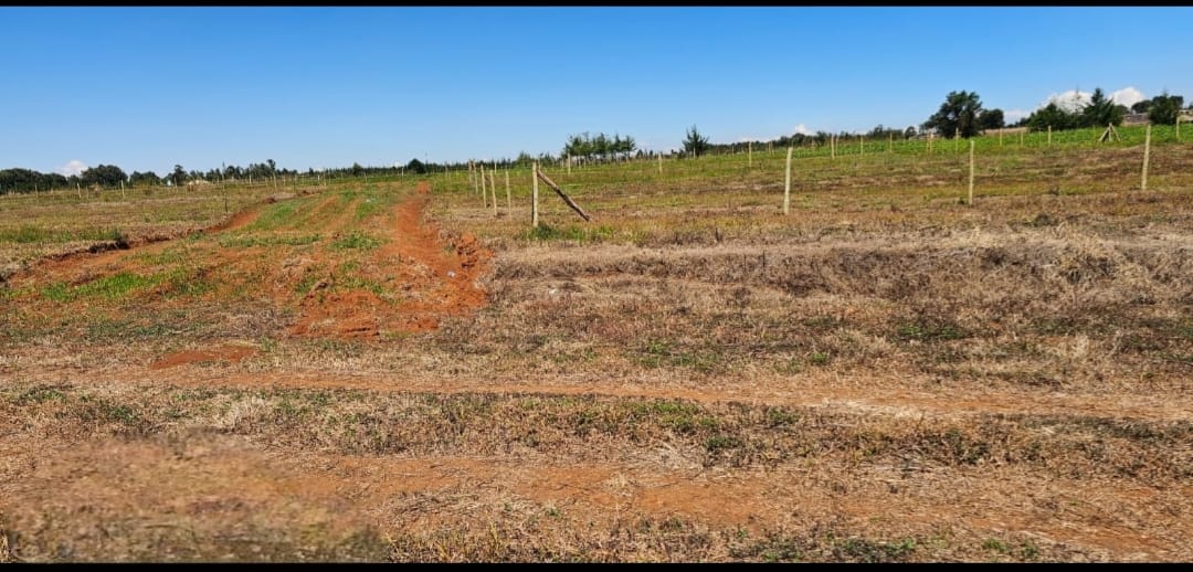 PRIME ¼ ACRE COMMERCIAL PLOTS FOR SALE – MARURA, ELDORET