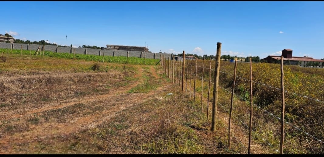 PRIME ¼ ACRE COMMERCIAL PLOTS FOR SALE – MARURA, ELDORET