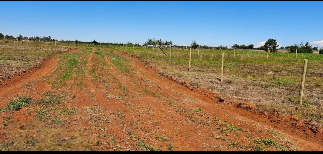 PRIME ¼ ACRE COMMERCIAL PLOTS FOR SALE – MARURA, ELDORET