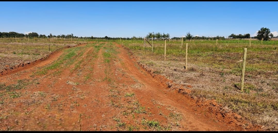 PRIME ¼ ACRE COMMERCIAL PLOTS FOR SALE – MARURA, ELDORET