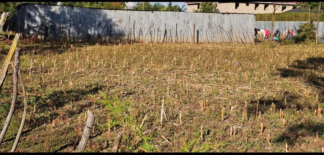 PRIME ¼ ACRE COMMERCIAL PLOT FOR SALE – ANNEX, ELDORET