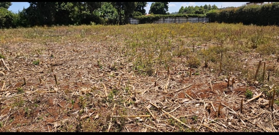 PRIME ¼ ACRE PLOT FOR SALE – KAPSOYA, ELDORET