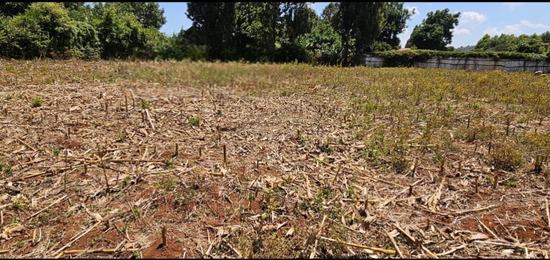 PRIME ¼ ACRE PLOT FOR SALE – KAPSOYA, ELDORET