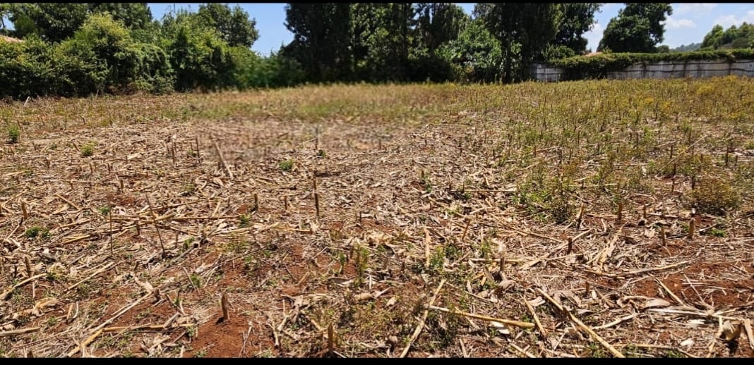 PRIME ¼ ACRE PLOT FOR SALE – KAPSOYA, ELDORET