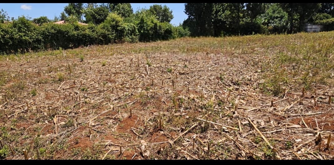 PRIME ¼ ACRE PLOT FOR SALE – KAPSOYA, ELDORET