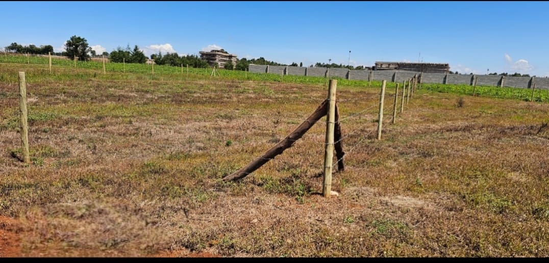 PRIME ¼ ACRE COMMERCIAL PLOTS FOR SALE – MARURA, ELDORET