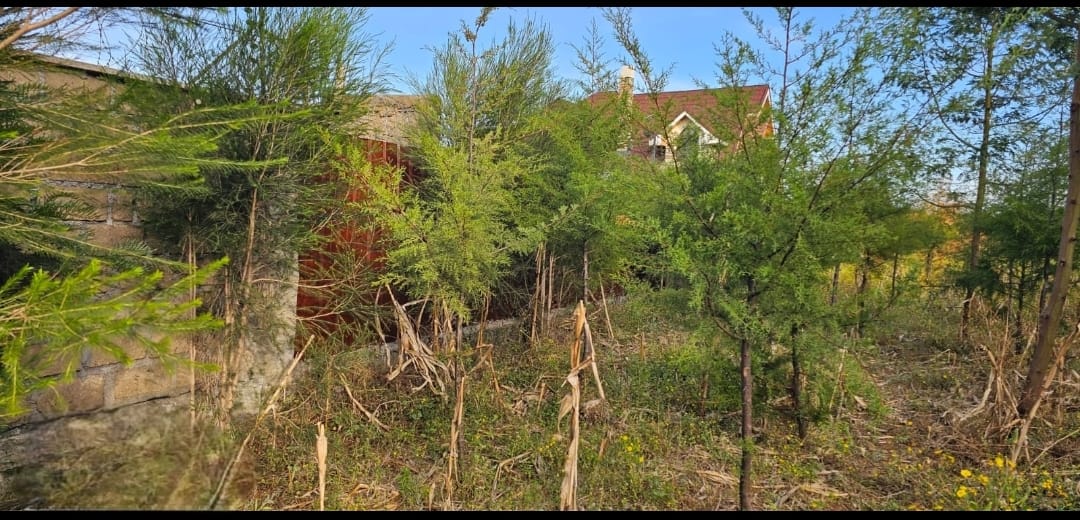 PRIME ¼ ACRE PLOT FOR SALE – KIPLOMBE, KIBULGENY (ELDORET)