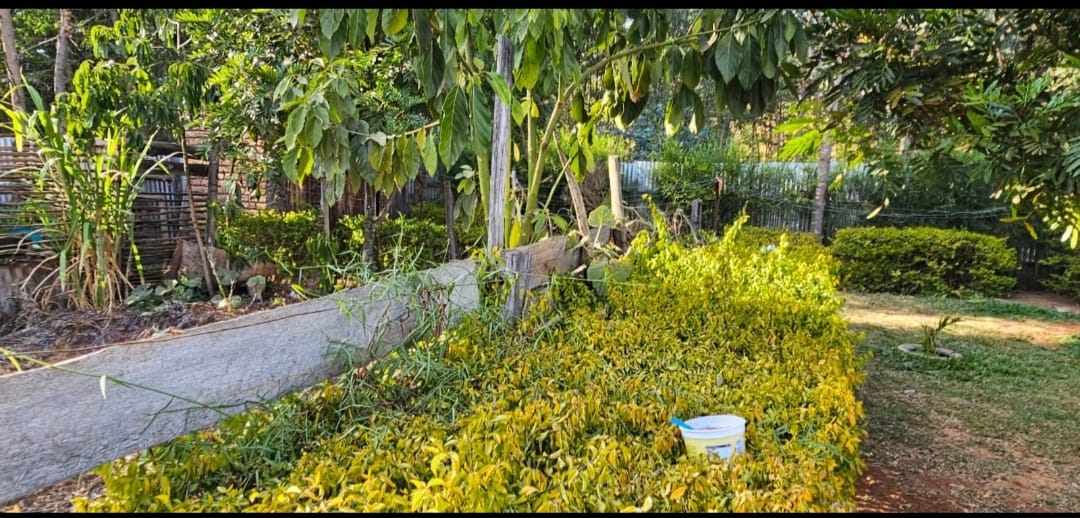 BEAUTIFUL 2 BEDROOM BUNGALOW FOR SALE