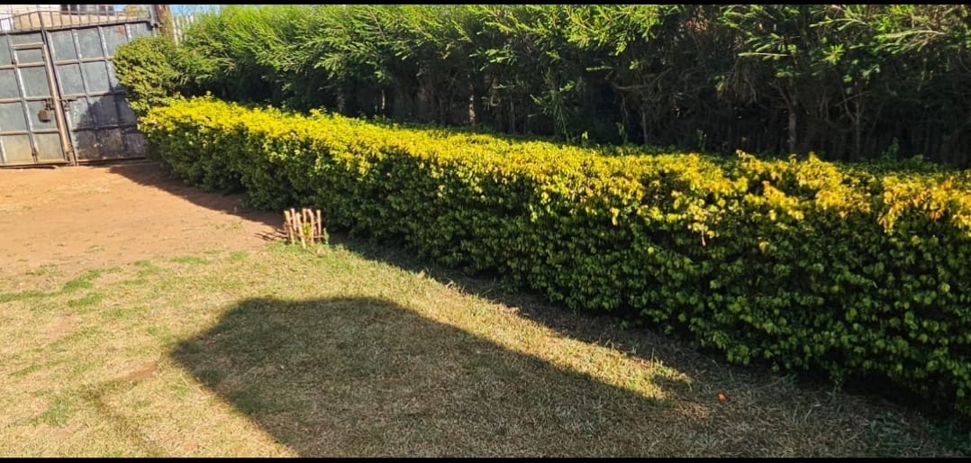 BEAUTIFUL 2 BEDROOM BUNGALOW FOR SALE