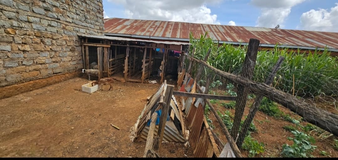 3-Bedroom Home with SQ, Dairy Shed & Poultry House for Sale – Chepkoilel, Eldoret