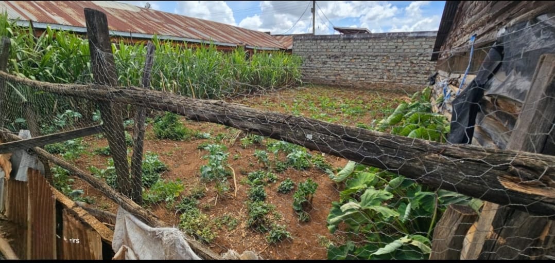 3-Bedroom Home with SQ, Dairy Shed & Poultry House for Sale – Chepkoilel, Eldoret