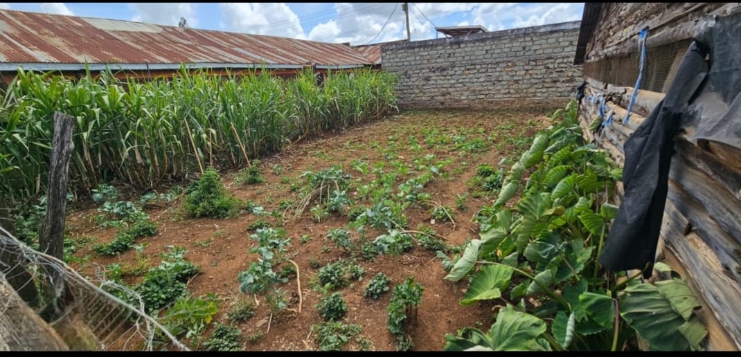 3-Bedroom Home with SQ, Dairy Shed & Poultry House for Sale – Chepkoilel, Eldoret