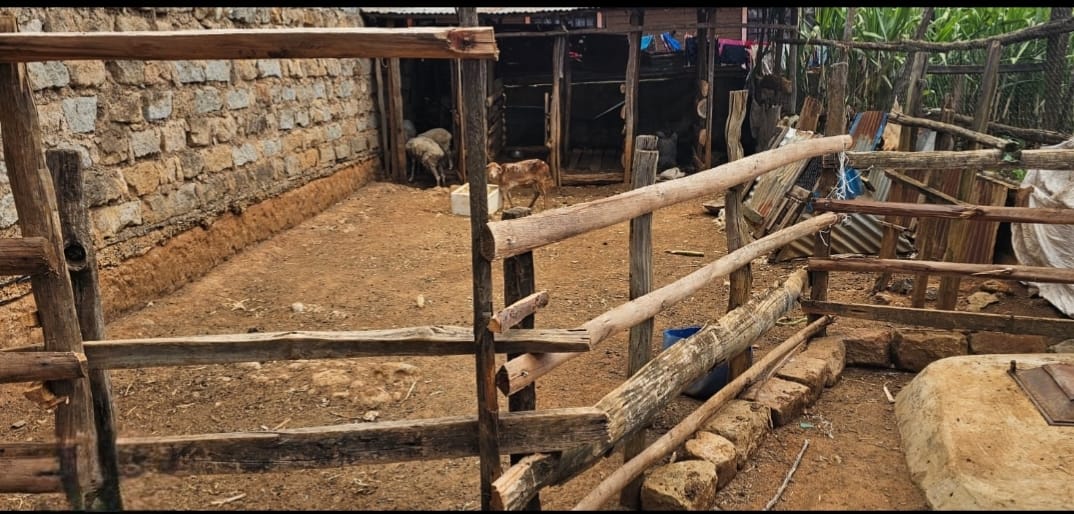 3-Bedroom Home with SQ, Dairy Shed & Poultry House for Sale – Chepkoilel, Eldoret