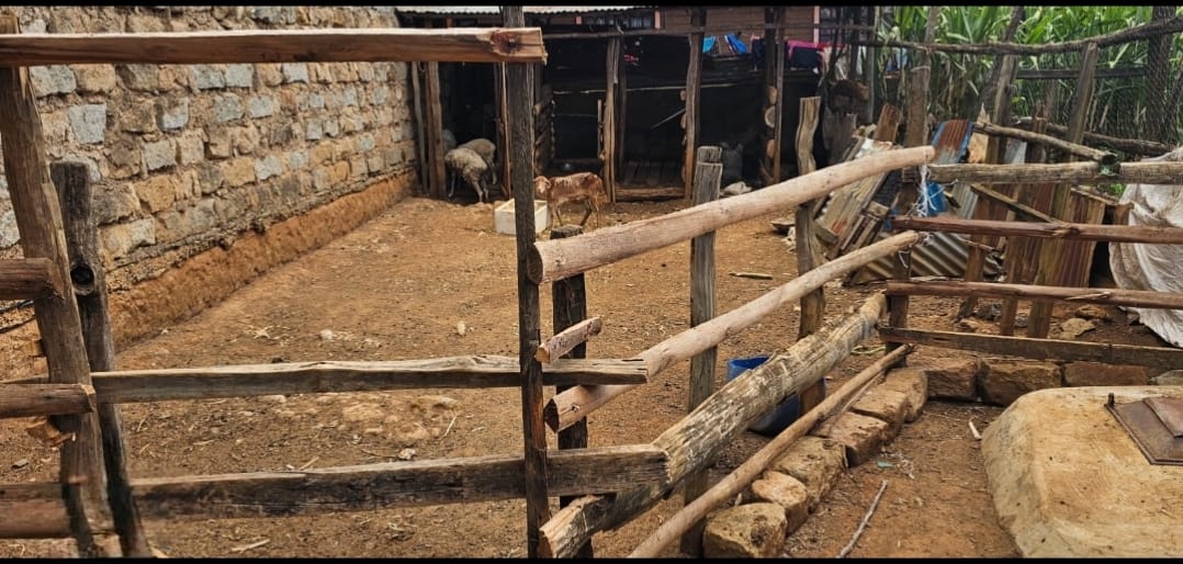 3-Bedroom Home with SQ, Dairy Shed & Poultry House for Sale – Chepkoilel, Eldoret