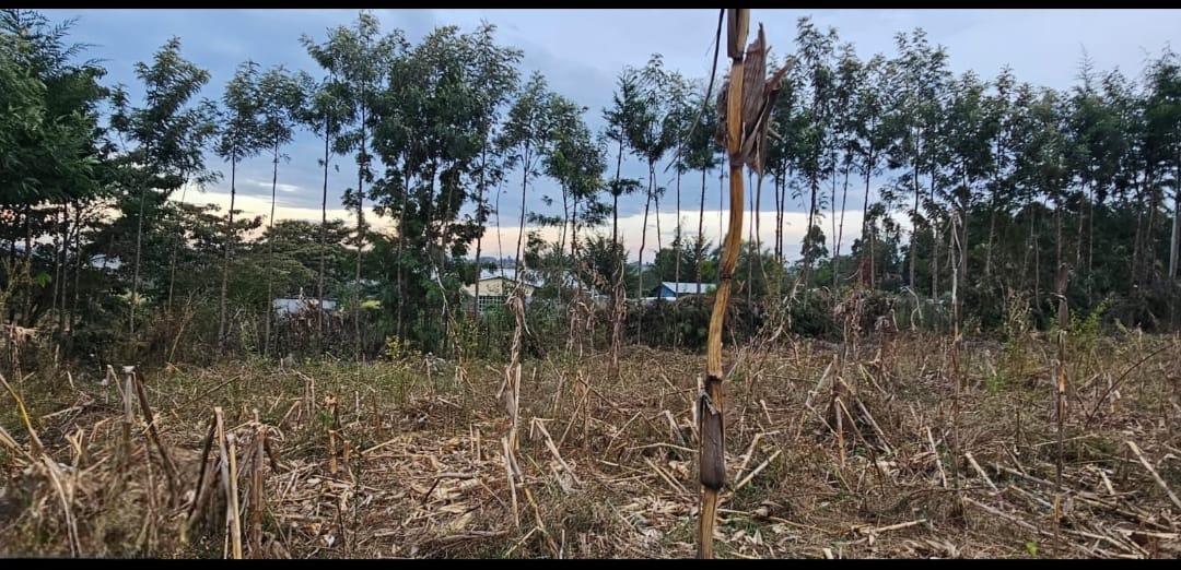 ½ Acre with House – Kapseret, Eldoret