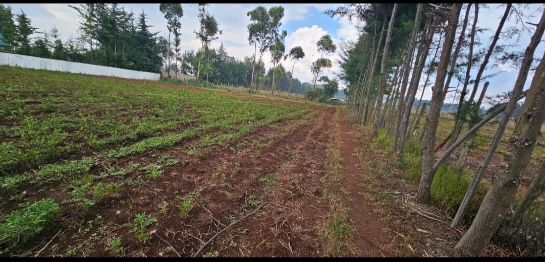 Prime ⅛ Acre Plots for Sale – Racecourse, Eldoret City