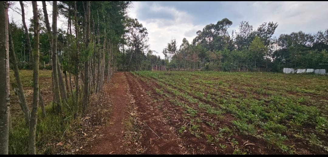 Prime ⅛ Acre Plots for Sale – Racecourse, Eldoret City