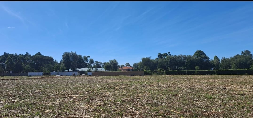 ¼ Acre Prime Commercial Plot for Sale – Annex Bethel, Eldoret