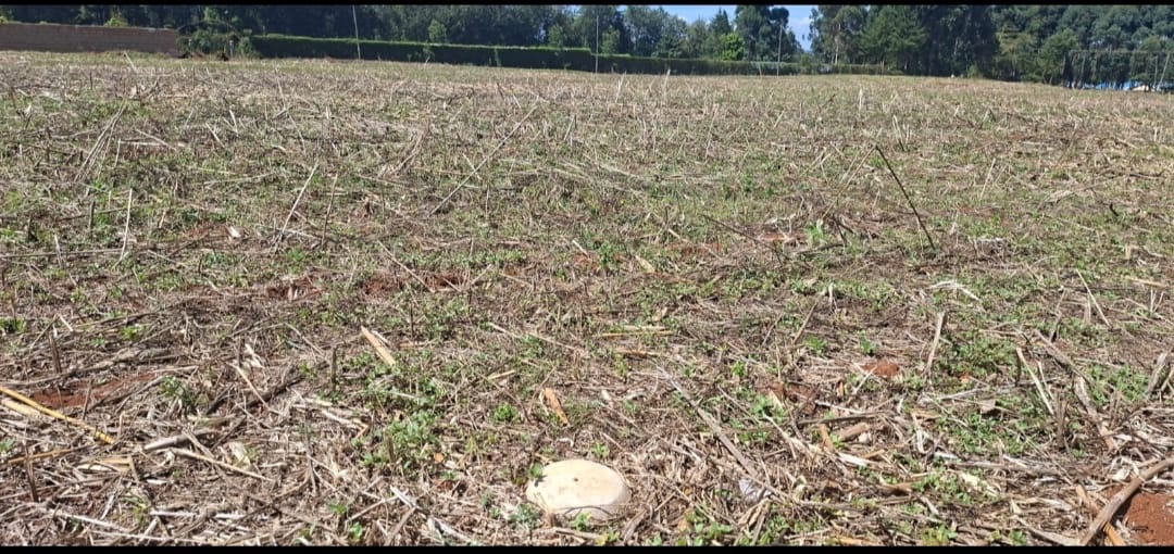 ¼ Acre Prime Commercial Plot for Sale – Annex Bethel, Eldoret