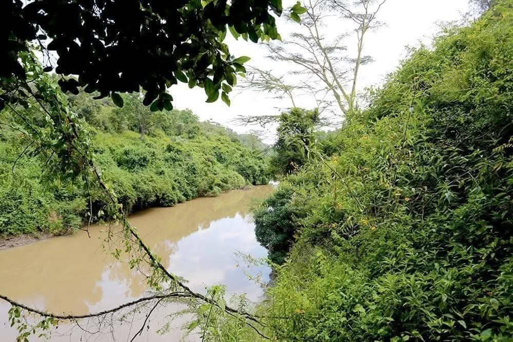 FOR SALE: 1,760 Acres Prime Freehold Land