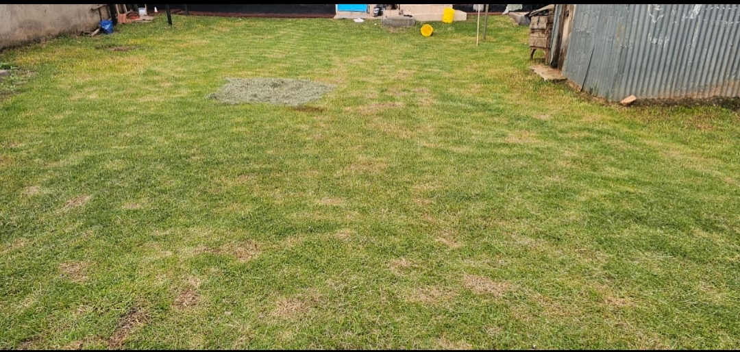 2 Bedroom House + SQ for Sale