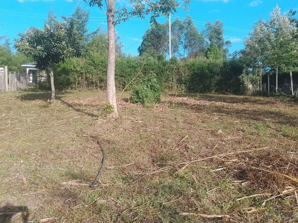 Elegant 3-Bedroom House – All Ensuite