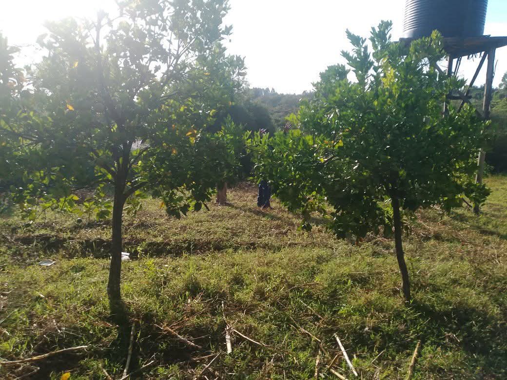 Elegant 3-Bedroom House – All Ensuite