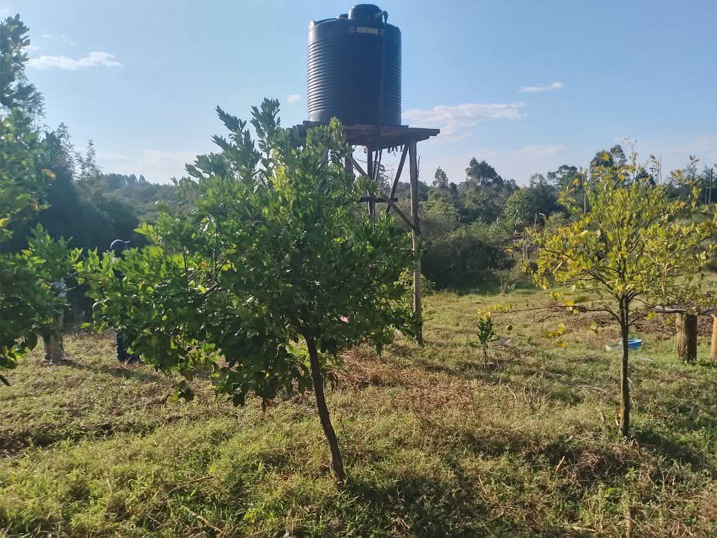 Elegant 3-Bedroom House – All Ensuite