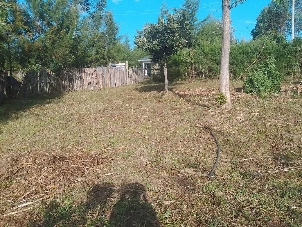 Elegant 3-Bedroom House – All Ensuite